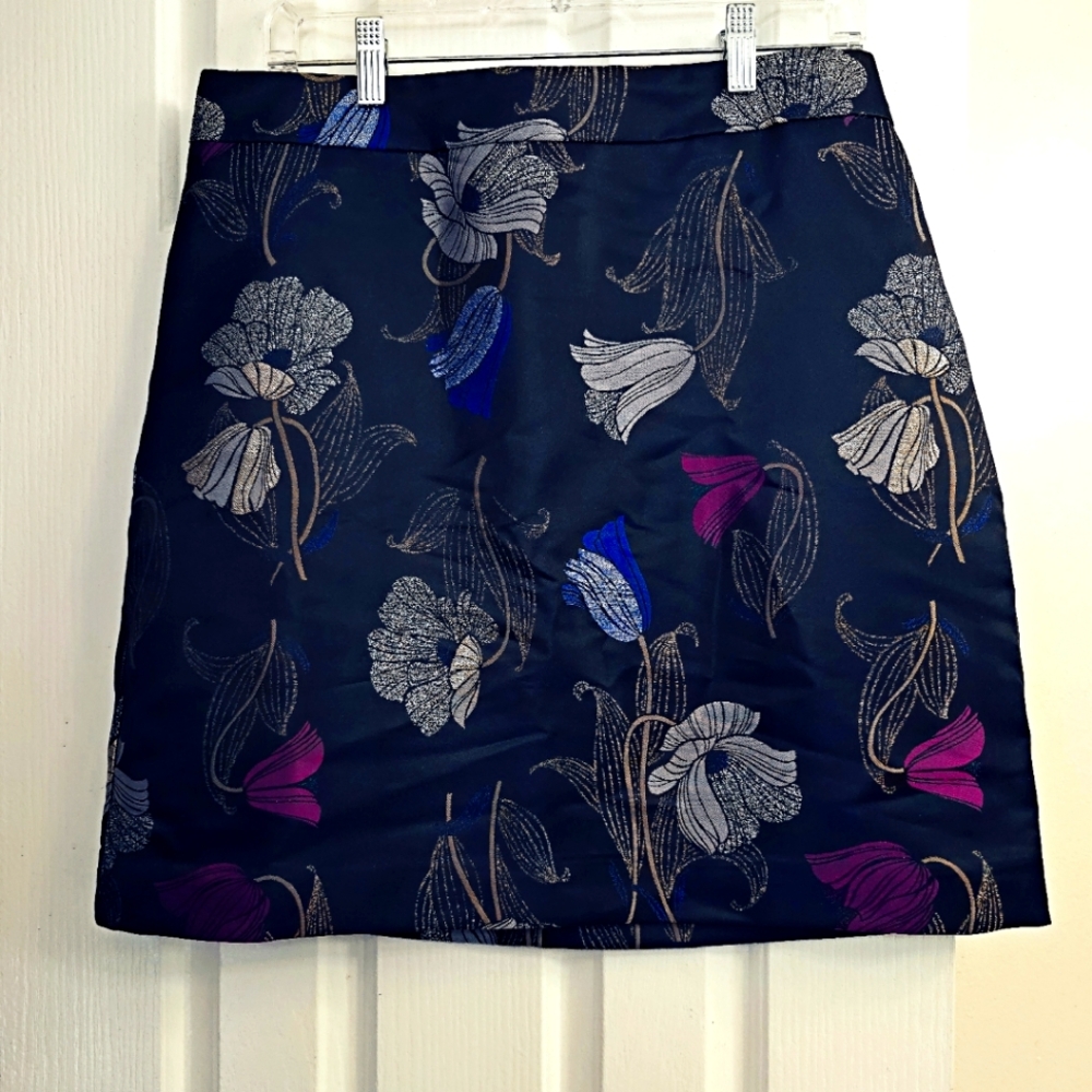 Ann Taylor skirt